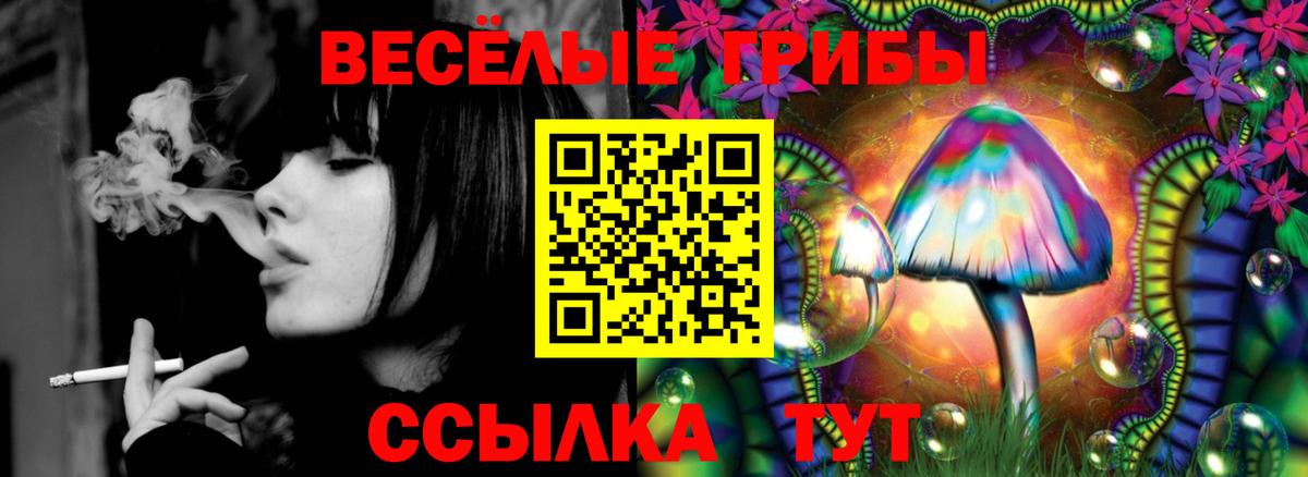 купить  сайты  Вход с VPN  Галлюциногенные грибы MAGIC MUSHROOMS  Клин  Галлюциногенные грибы прущие грибы 